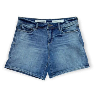 Pilcro and the Letterpress  Hyphen Blue Jean Shorts Size 26